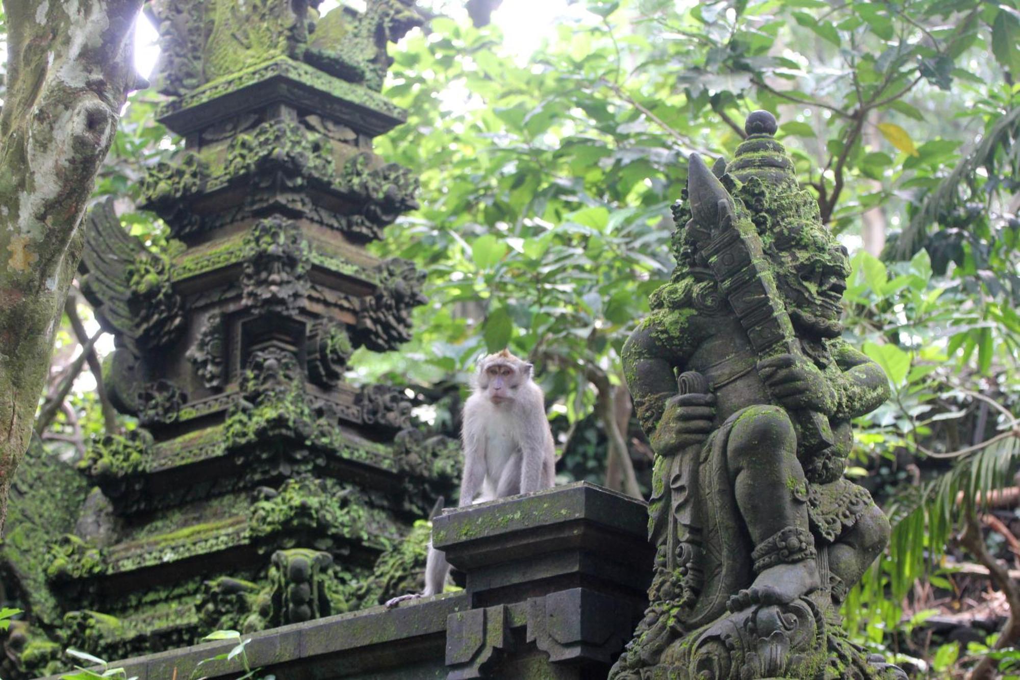 Sari Gong Guest House, A Trishula Collection Ubud